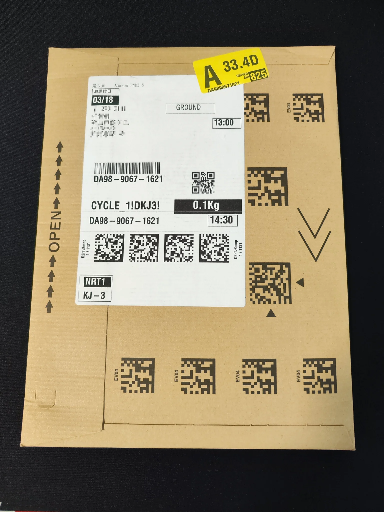 Arrived in an Amazon envelope